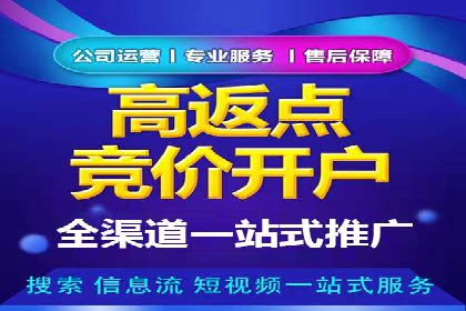 SEM代理案例：揭秘成功背后的秘密